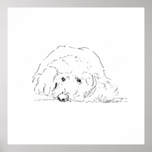 Cockapoo Puppy Poster, Cadeau voor hondenliefhebbe Poster