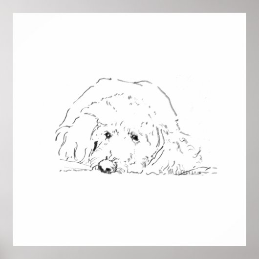 Cockapoo Puppy Poster, Cadeau voor hondenliefhebbe Poster (Voorkant)