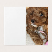 Cockapoo Puppy verjaardagskaarten. Kaart (Buitenkant ongevouwen)