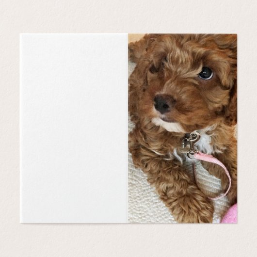 Cockapoo Puppy verjaardagskaarten. Kaart (Buitenkant ongevouwen)