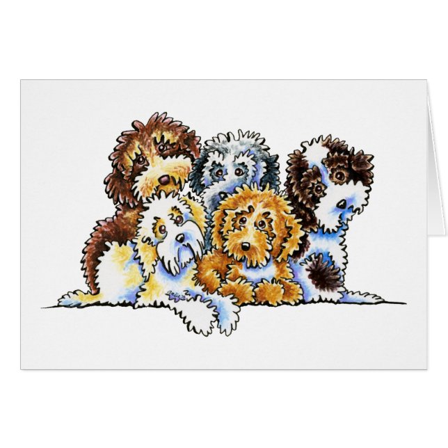 Cockapoo Rainbow (Voorkant Horizontaal)