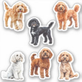 Cockapoo Schattige Hondenliefhebber Sticker (Voorkant)