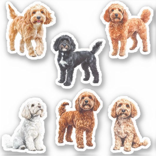 Cockapoo Schattige Hondenliefhebber Sticker (Voorkant)