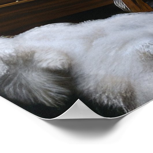 Cockapoo Snowy Sleigh Kerst Decor Poster (Hoek)