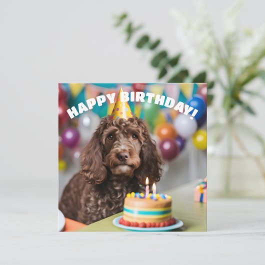 Cockapoo verjaardagsfeestje kaart (Staand voorkant)
