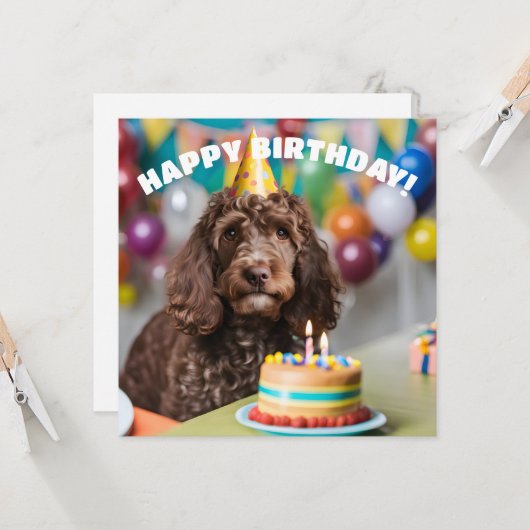 Cockapoo verjaardagsfeestje kaart (Voorkant / Achterkant in situ)