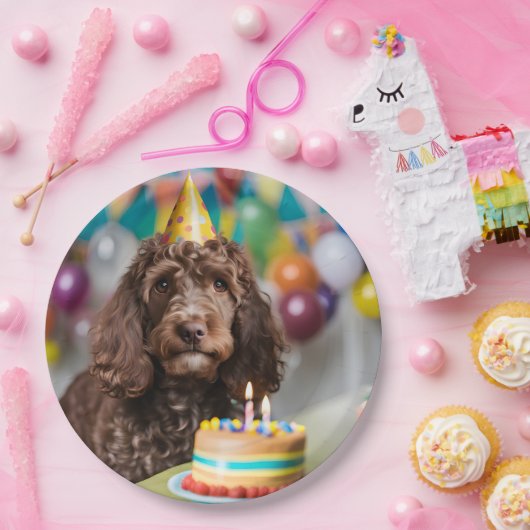 Cockapoo verjaardagsfeestje papieren bordje (Feest)