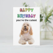 cockapoo-verjaardagskaart bedankkaart (Staand voorkant)