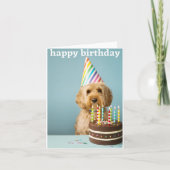 cockapoo-verjaardagskaart kaart (Voorkant)