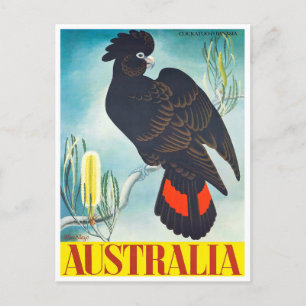 Cockatau Australia vintage Briefkaart