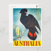 Cockatau Australia vintage Briefkaart (Voorkant / Achterkant)