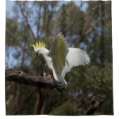 Cockatau Bird Parrot Spreading Wings Australia Douchegordijn (Voorkant)