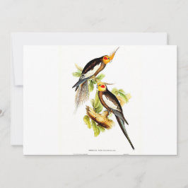 Cockatau Parakeet Feestdagenkaart