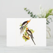 Cockatau Parakeet Feestdagenkaart (Staand voorkant)