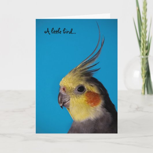 Cockatiel, A weinig vogel… Kaart (Voorkant)