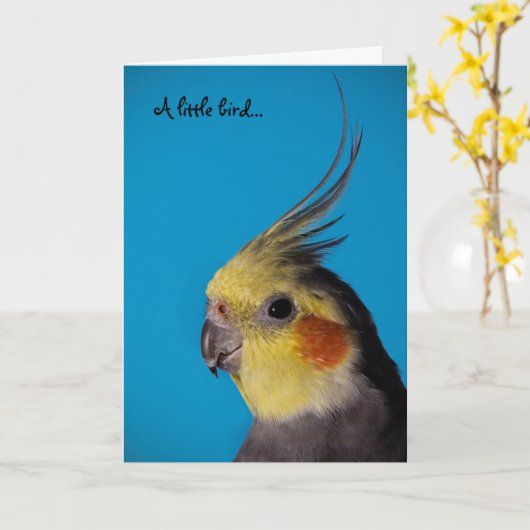 Cockatiel, A weinig vogel… Kaart (Gele Bloem)