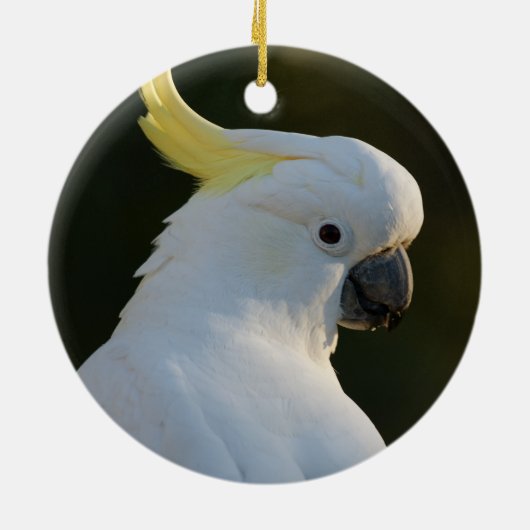 Cockatiel Bird Keramisch Ornament (Achterkant)