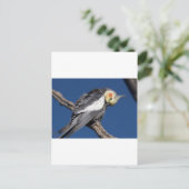 Cockatiel Briefkaart (Staand voorkant)