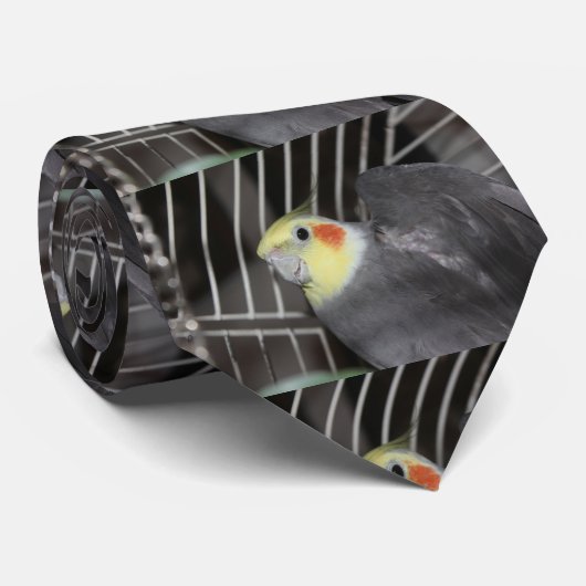 Cockatiel closeup Birdie Stropdas (Opgerold)