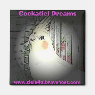 Cockatiel Dreams magneet