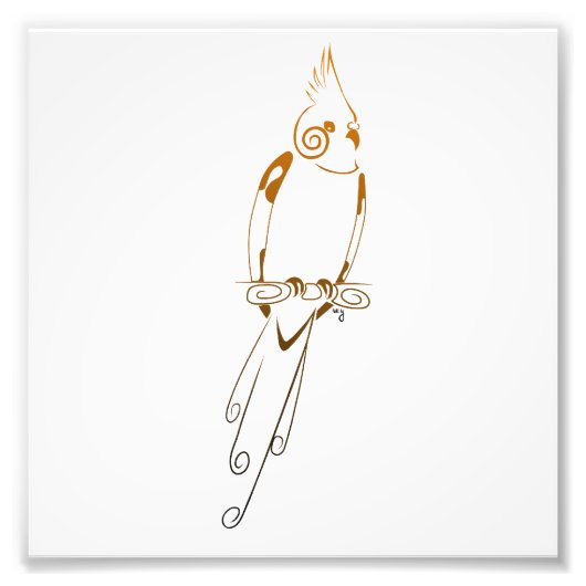 Cockatiel Foto Afdruk (Voorkant)