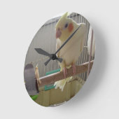 Cockatiel Fun Ronde Klok (Hoek)