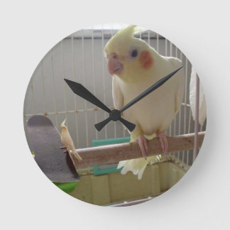 Cockatiel Fun Ronde Klok