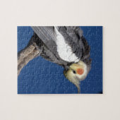 Cockatiel Legpuzzel (Horizontaal)