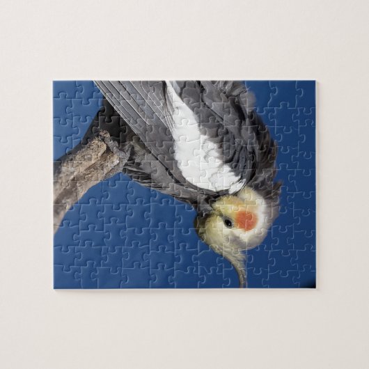 Cockatiel Legpuzzel (Horizontaal)