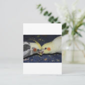 Cockatiel Love Briefkaart (Staand voorkant)