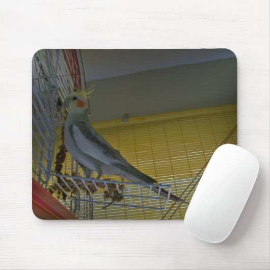 Cockatiel Muismat (Met muis)