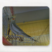 Cockatiel Muismat (Voorkant)