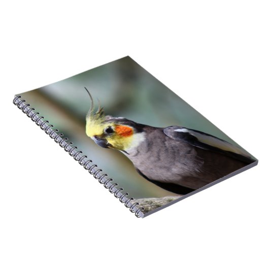 Cockatiel Notitieboek (Rechterzijde)