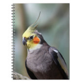 Cockatiel Notitieboek (Voorkant)