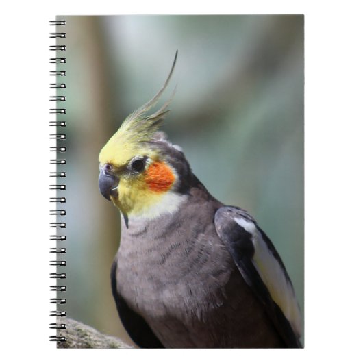 Cockatiel Notitieboek (Voorkant)