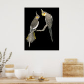 Cockatiel Pair - Nymphicus hollandicus on Black Poster (Keuken)