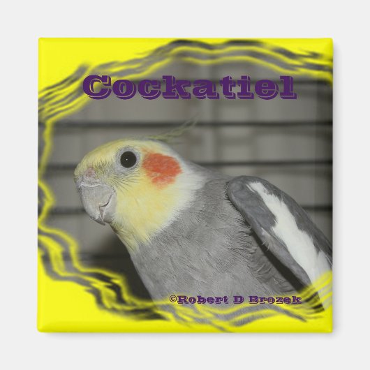 Cockatiel Pet Bird MAGNEET (Voorkant)