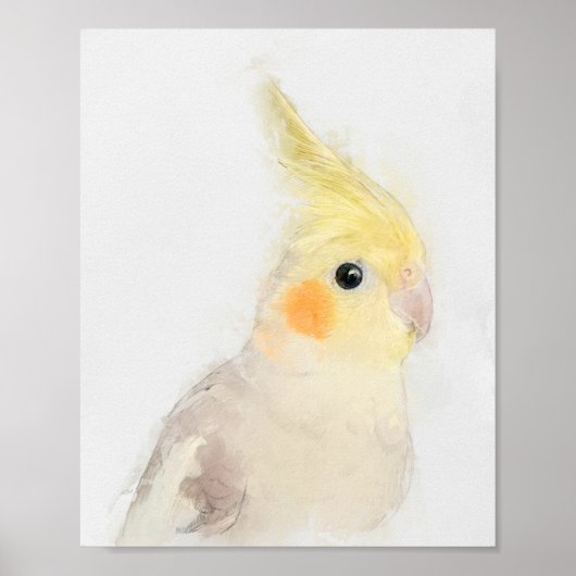 Cockatiel Portrait Poster (Voorkant)