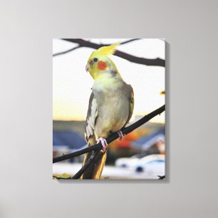 Cockatiel profielfoto canvas afdruk