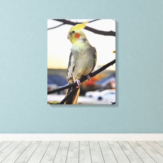 Cockatiel Profile Photograph Canvas Afdruk (Insitu (Houten vloer))