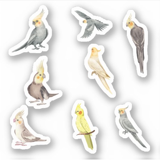 Cockatiel Stickers (Voorkant)