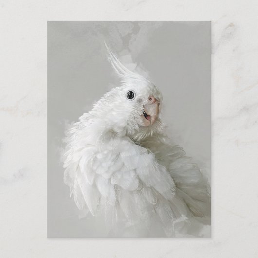 cockatiel, vogel, , huisdier, schattig, schattig, briefkaart (Voorkant)
