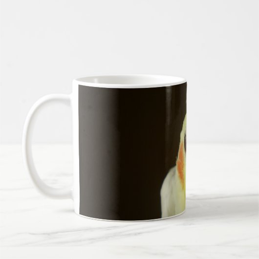 CockatielMok Koffiemok (Links)