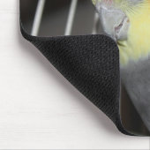 CockatielMUISMAT Muismat (Hoek)