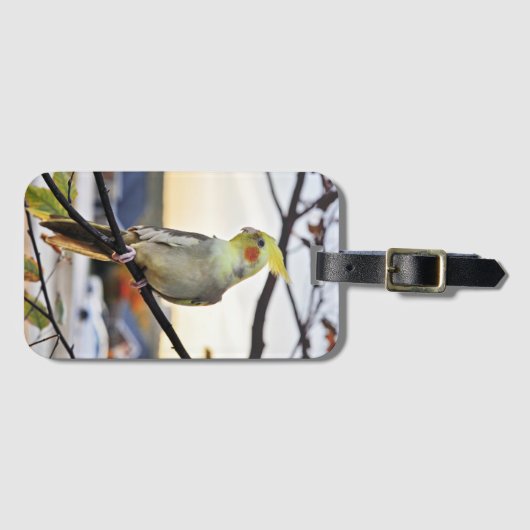 Cockatielprofiel foto bagagelabel (Voorkant (horizontaal))