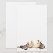 Cockatiels Briefpapier (Voorkant / Achterkant)