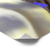 Cockatiels en ik vergeet het Poster van Nots (Hoek)