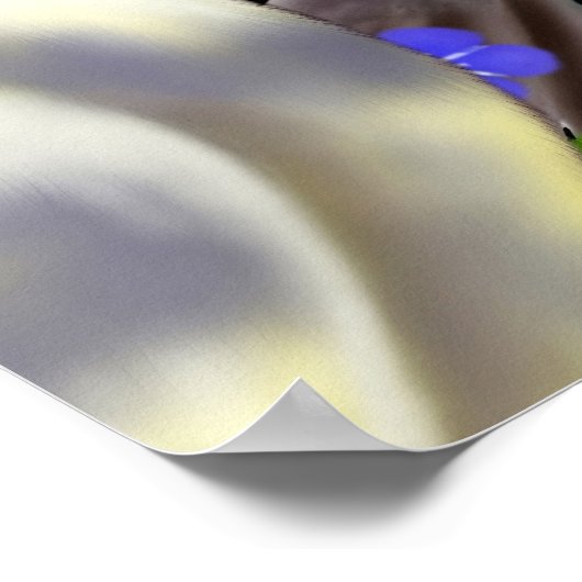 Cockatiels en ik vergeet het Poster van Nots (Hoek)