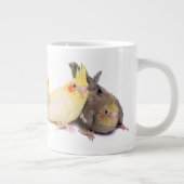Cockatiels Grote Koffiekop (Rechts)