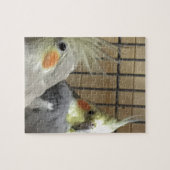 Cockatiels Legpuzzel (Horizontaal)